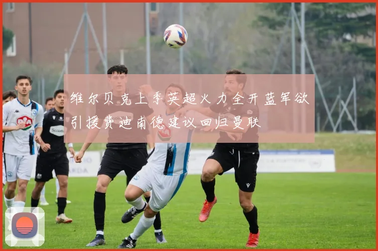 维尔贝克上季英超火力全开蓝军欲引援费迪南德建议回归曼联